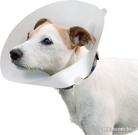 Защитный воротник Ferplast Gro 6007 86007800