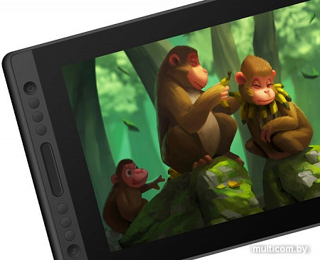 Графический планшет Huion Kamvas Pro 16