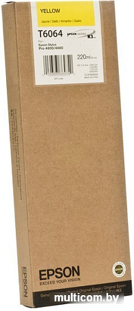 Картридж Epson C13T606400