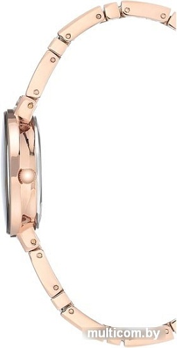 Наручные часы Anne Klein 3190RGRG