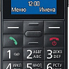 Мобильный телефон Panasonic KX-TU110RU (черный)