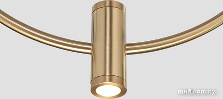 Подвесная люстра Евросвет 50257/3 LED черный/ латунь