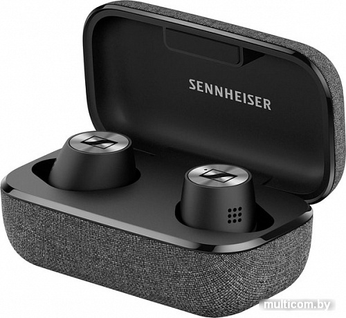 Наушники Sennheiser Momentum True Wireless 2 (черный)