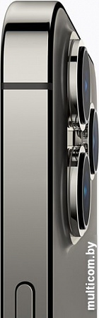 Смартфон Apple iPhone 13 Pro 256GB (графитовый)