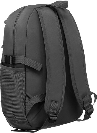 Peterson PTN 79901 (серый)