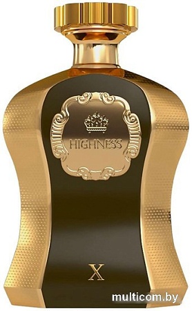 Парфюмерная вода Afnan Highness X Brown EdP (100 мл)