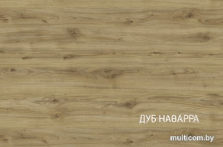 Шкаф распашной Anrex Modern 2DG (персидский жемчуг)
