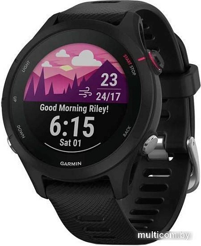 Умные часы Garmin Forerunner 255S Music 41 мм (черный)