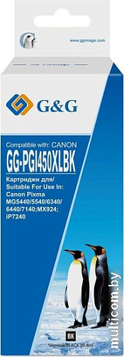 Картридж G&G GG-PGI450XLBK (аналог Canon PGI450XLBK)