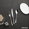 Набор столовых приборов Sambonet Taste 52553-N2