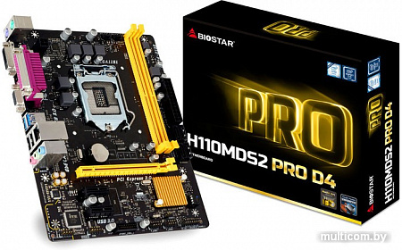 Материнская плата BIOSTAR H110MDS2 PRO D4 ver. 6.x