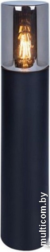 Садовый светильник Arte Lamp Wazn A6215PA-1BK