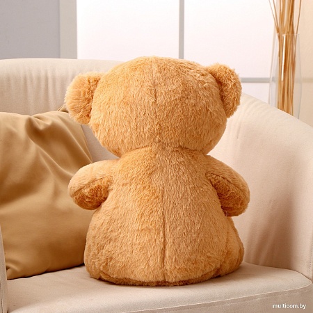 Классическая игрушка Sima-Land Медведь 10688847 (бежевый)