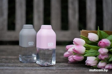 Бутылка Monbento MB Positive Litchi 1011 01 166