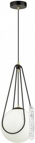 Подвесная люстра Odeon Light Carol 4268/1