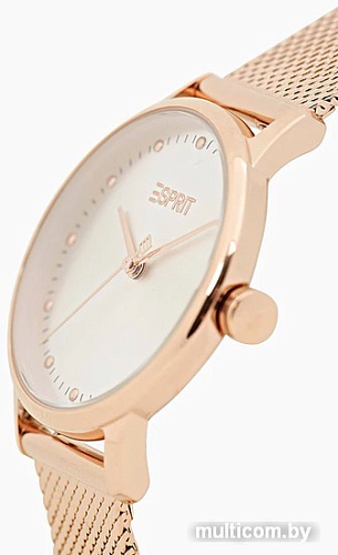 Наручные часы Esprit ES1L334M0045