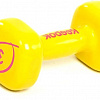 Гантели Reebok RAWT-11053YL 3 кг
