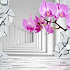 Фотообои Citydecor Орхидея 3D 300x254