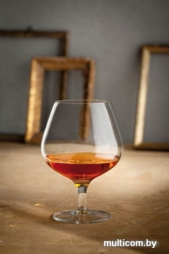 Набор бокалов для коньяка Luigi Bormioli Vinoteque 10564/01