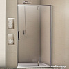 Душевая дверь WeltWasser WW900 900К01-120