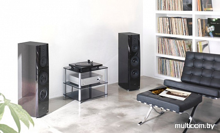 Sony PS-HX500