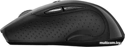 Мышь Canyon CNS-CMSW01B