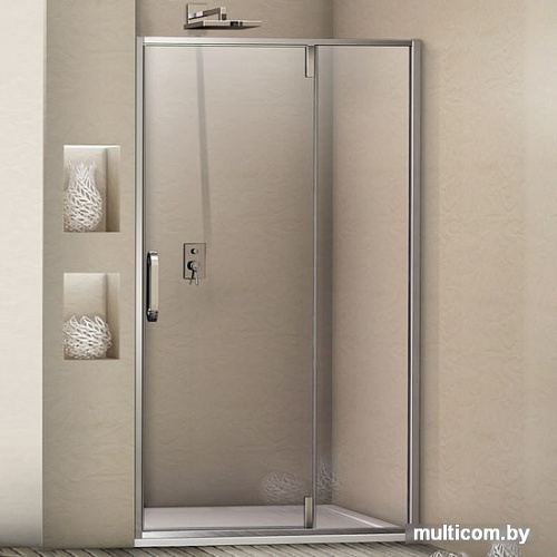 Душевая дверь WeltWasser WW900 900К01-120
