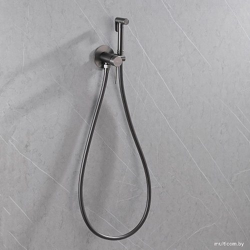 Гигиенический душ Abber Wasser Kreis AF8125NG (никель)