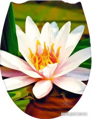 Сиденье для унитаза FORA FOR-LID18