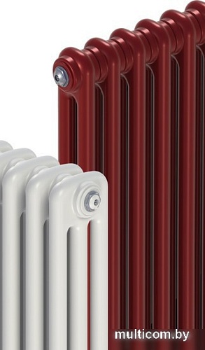 Стальной трубчатый радиатор Rifar TUB 2180-06-D1-TI (титан, нижнее односторонее подключение)