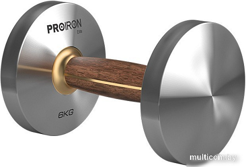 Гантель Proiron Г1060НО (6 кг)