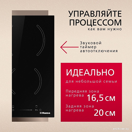 Варочная панель Hansa BHC331014