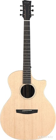 Акустическая гитара Enya EGA-X1 Pro/NA