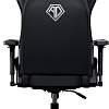 Игровое (геймерское) кресло AndaSeat Frontier AD12Y-12-B-PV (черный)