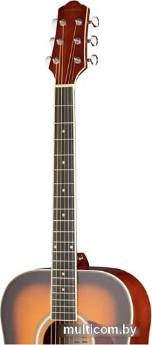 Акустическая гитара Naranda DG220VS
