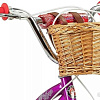 Детский велосипед Schwinn Elm 18 2022 S0821RUC (фиолетовый)