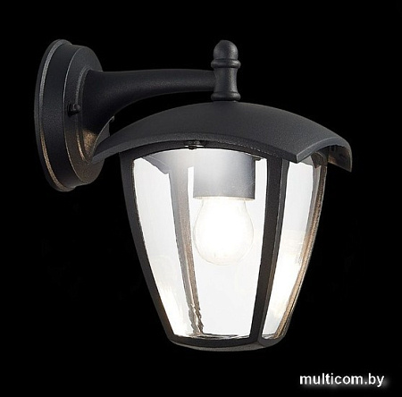 Уличный настенный светильник ST Luce SL081.411.01