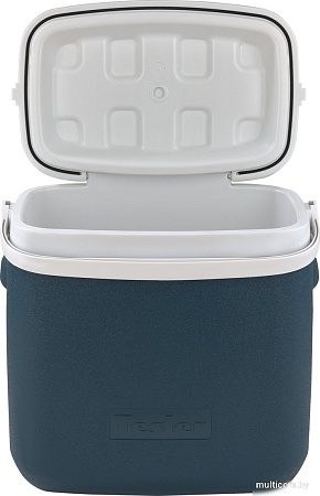 Термобокс Tesler ICC-3632 36л (синий)