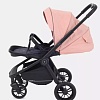 Универсальная коляска Rant Energy Basic RA092 (3 в 1, коралловый)