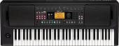 Синтезатор KORG EK-50 Limitless