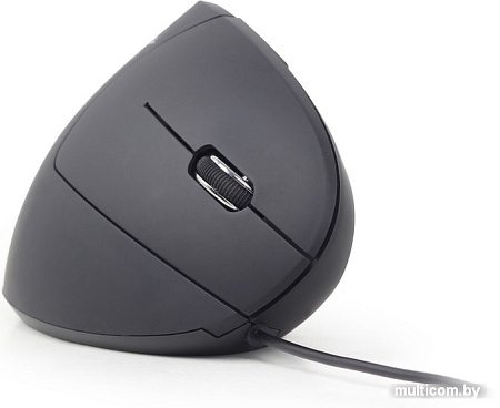 Мышь Gembird MUS-ERGO-01