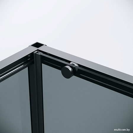 Душевой уголок Grossman Galaxy 100x80x195 120.K33.01.1080.21.10 (черный матовый/тонированное стекло)