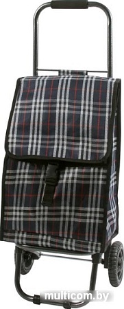 Сумка-тележка Рыжий кот D203ECO Tartan