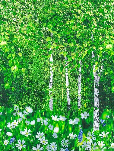 Постельное белье АртПостель Белая березонька 900