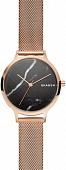 Наручные часы Skagen SKW2721
