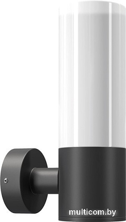 Уличный настенный светильник Maytoni Willis O418WL-01B