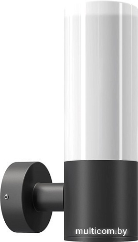 Уличный настенный светильник Maytoni Willis O418WL-01B