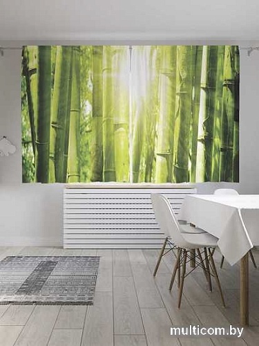 Комплект штор JoyArty Бамбуковый день 1.45x1.8 м pox_12184_145x180 (2 шт)