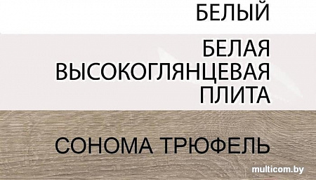 Тумба Anrex Linate RTV 2D-1S/TYP 50 Белый/Сонома Трюфель