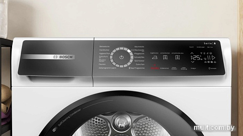 Сушильная машина Bosch Serie 8 WQB245B40